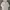 Uniqlo Streetwear Y2K Hoody Pria cream photo 1