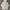 Uniqlo Streetwear Y2K Hoody Pria cream photo 2