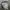 Patagonia Streetwear Casual Bag Pria gray photo 3