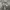 Patagonia Streetwear Casual Bag Pria gray photo 1