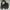 Billabong - Mini Sling Bag | Black