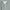 Cottages Dress/ Flower Dress/ Midi Dress Grey
