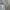 cottages dress/ flower dress/ midi dress grey photo 1