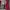 Timberland Gorpcore Casual Windbreaker Pria red photo 4