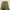 Green Skirt Someday photo 1