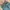 Baggy Jeans Dark Green photo 4