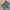 Baggy Jeans Dark Green photo 6