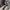 Chanel Luxury Minimalist Shoulder bag Wanita gray photo 5