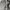 Chanel Luxury Minimalist Shoulder bag Wanita gray photo 6
