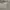 Chanel Luxury Minimalist Shoulder bag Wanita gray photo 2