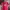 Jersey Manchester United 2016-2017 Ibrahimovic Ori