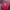 Jersey Manchester United 2016-2017 Ibrahimovic Ori photo 2