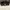 Charles And Keith Goth Futurist Handbag Wanita Gold Black