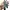 Vintage Leather belt green photo 3
