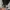 BESLOW Streetwear Sportswear Casual Pants Pria Multicolor
