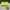 Charles And Keith Cottagecore Futurist Handbag Wanita Green Navy