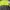 Charles And Keith Cottagecore Futurist Handbag Wanita Green Navy