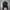 Adidas Sportswear Puffer jacket Wanita multicolor photo 2