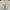 Rare item japanese BLUE jeans kyoto photo 2