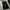 Baggy flare jeans shein photo 1