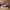 CONVERSE CHUCK TAYLOR 1970s Hi x NOTRE BROWN photo 3