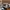 CONVERSE CHUCK TAYLOR 1970s Hi x NOTRE BROWN photo 7