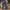 Celana jeans maussy skiny photo 4