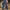 Celana jeans maussy skiny photo 1