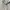 Daniel Hechter Vintage Casual Harrington jacket Pria khaki tan photo 7