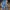 Celana jeans gu skiny stretch photo 3