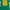 Kaos Outdoor Glimmer Baselayer Green Gunung Hiking Trekking  photo 3