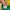 Kaos Outdoor Glimmer Baselayer Green Gunung Hiking Trekking  photo 4