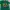 Kaos Outdoor Glimmer Baselayer Green Gunung Hiking Trekking  photo 1