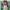 Crop Flanel photo 1