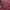 Maroon Midi Dresses photo 6