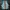 Nike Airmax 95 Essentials white royal size 43 photo 4