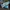 Nike Airmax 95 Essentials white royal size 43 photo 1