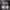 Adidas SUPERSTAR white black size 36 photo 3