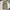 Dickies 874 Original Fit Khaki Workpants photo 6
