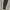 Adidas Women Pants Sereno PT photo 4