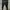 Adidas Women Pants Sereno PT photo 3