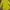 Jean Paul Gaultier Yellow Dress Cardigan photo 4