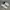 Converse Streetwear Skater Sneakers Pria white blue photo 2