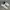 Converse Streetwear Skater Sneakers Pria White Blue