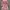 Cottagecore Lolita Babydoll Dress Wanita Pink