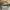 American Eagle Casual Crop top Wanita white cream photo 2
