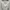 Avenue Clothing Satin Midi Dress White photo 6