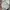 Avenue Clothing Satin Midi Dress White photo 3