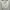 Avenue Clothing Satin Midi Dress White photo 2