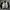Paul Smith Graphic Cardigan Knitted  photo 1